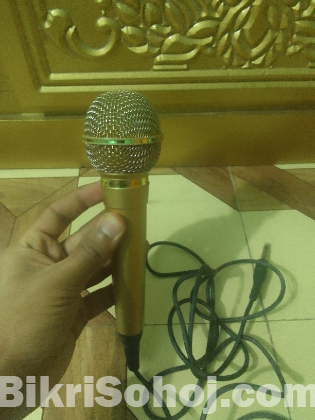 Professional Sony microphone